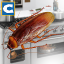 تنزيل Cockroach Insect Simulator التثبيت أحدث APK تنزيل