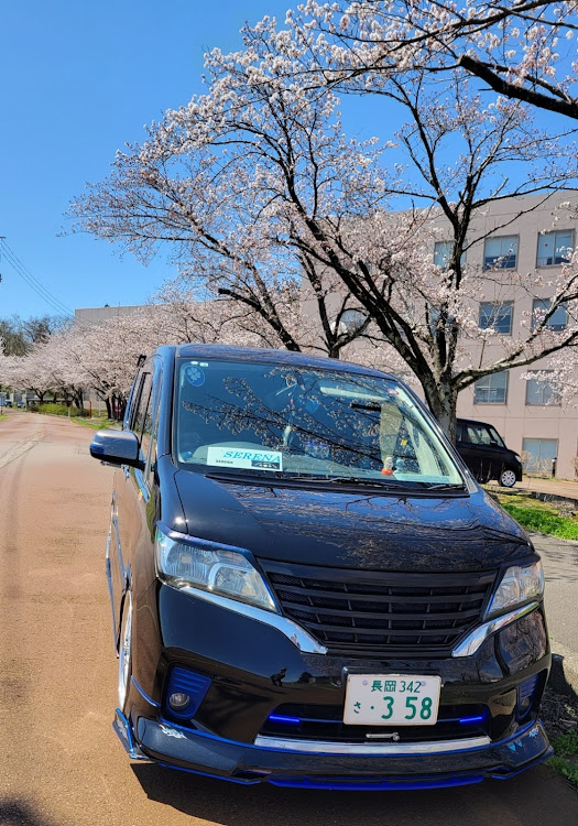セレナの変化なしの愛車・桜とコラボ・病院🏥の桜🌸に関するカスタム事例の投稿画像1枚目
