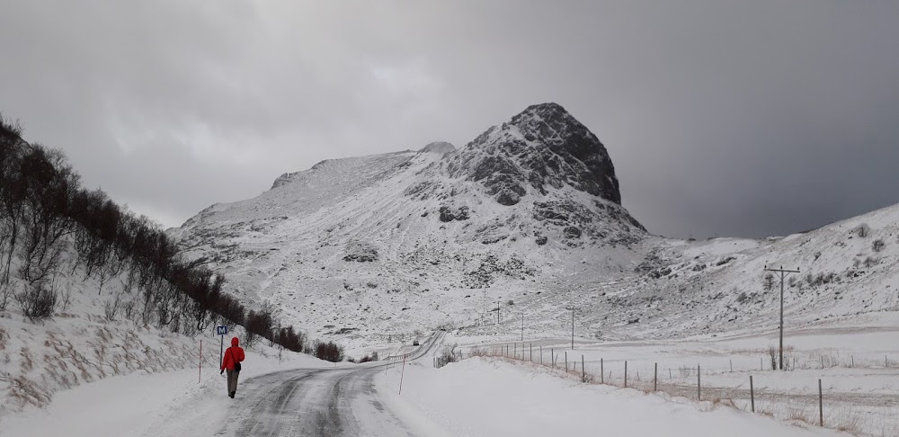 В погоне за снежными пейзажами (острова Lofoten в Новом 2020 году)