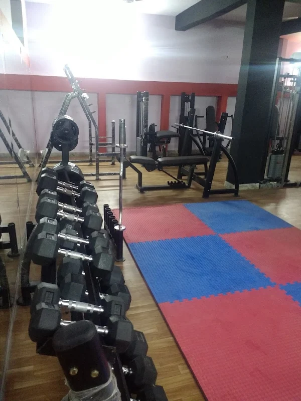 Armour Kingdom Gym photo 