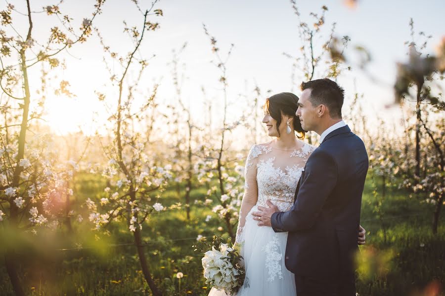 Fotografo di matrimoni Marija Kranjcec (marija). Foto del 23 aprile 2018