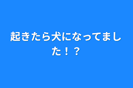 起きたら犬になってました！？