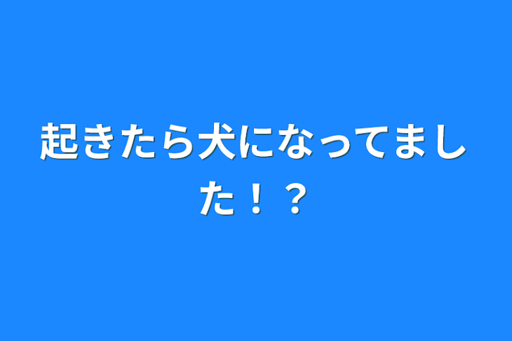 「起きたら犬になってました！？」のメインビジュアル