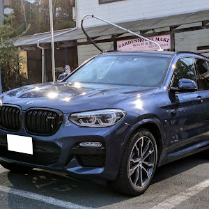 X3 xDrive 20d
