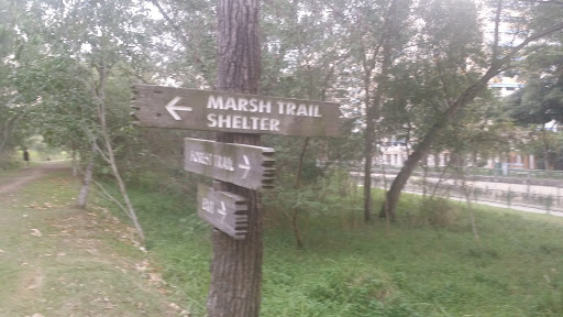 Marsh Trail Shelter Sign