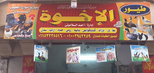 طيورالإخوة