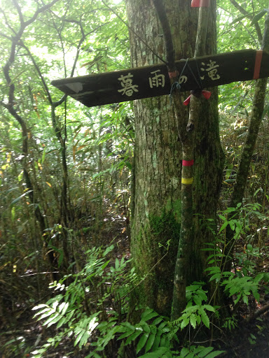 暮雨の滝への分岐点