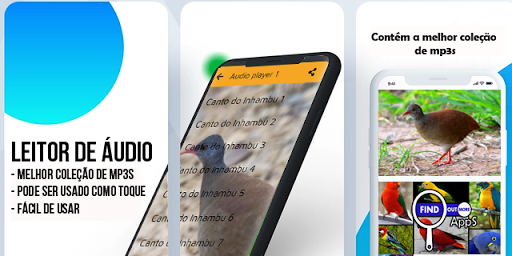 Canto do Inhambu Completo 2020