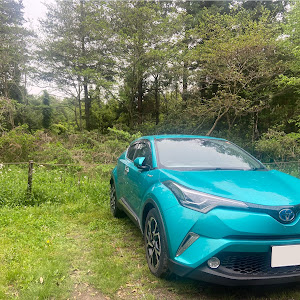 C-HR ZYX10