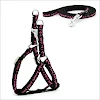 miniatures image - 11