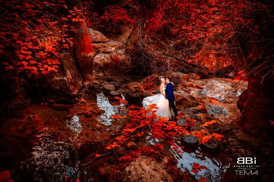 Fotógrafo de casamento Burcu Bal Ili (burcubalili). Foto de 25 de janeiro 2019