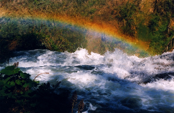 Arcobaleno: ACQUA tra TERRA ed ARIA... di Francesca Malavasi