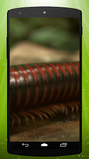 Millipede Live Wallpaper