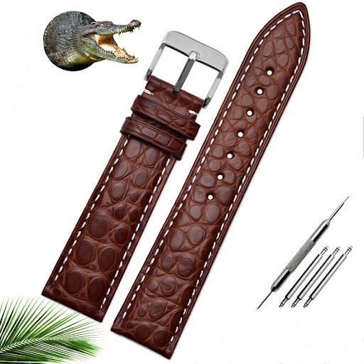 Title 7, Alligator Belt Mens and Womens Watchbands Com...