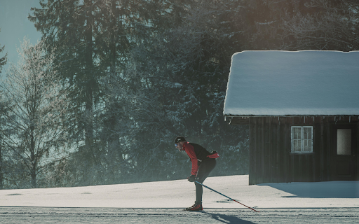 Cross-country skiing in a snowy forest landscape screenshot 1