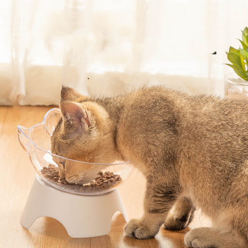 Title 3, Non-slip Cat Bowl and Dog Bowl Single Bowl with...