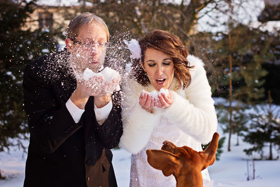 Fotografo di matrimoni Alena Sreflova (sreflova). Foto del 15 gennaio 2014