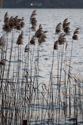 In riva al lago di Jiggly