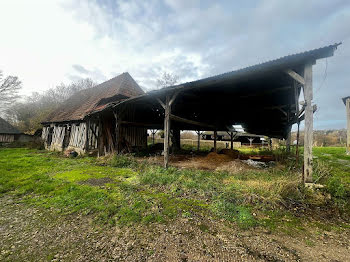 maison à Canapville (14)