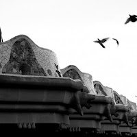 Stranger in Parc Güell di 