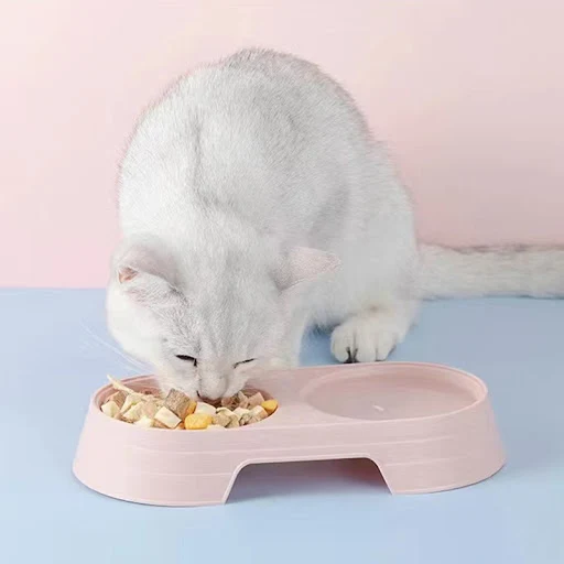 Macaron Pet Double Bowl Plastic Kitten Dog Food Bowl Drinking Tray Feeder Cat Feeding Pet Supplies Cat Accessories Pet F