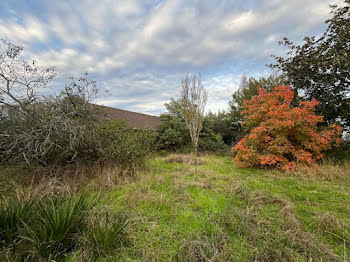 maison à Rion-des-Landes (40)