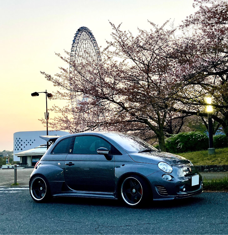 アバルト 595の朝活撮影📷に関するカスタム事例の投稿画像2枚目