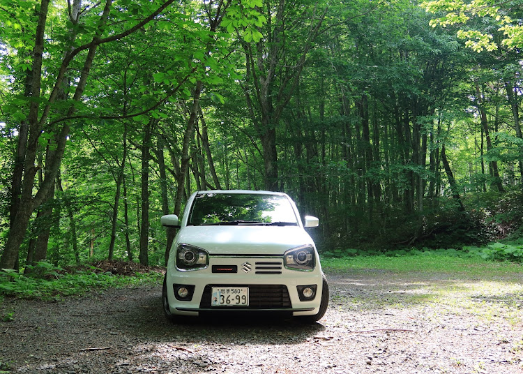 アルトワークスの新緑と愛車・山道ドライブ・平日休みの暇人・田舎の風景・木々に囲まれてに関するカスタム事例の投稿画像1枚目