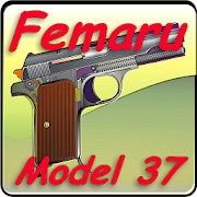 Femaru M37 pistol explained