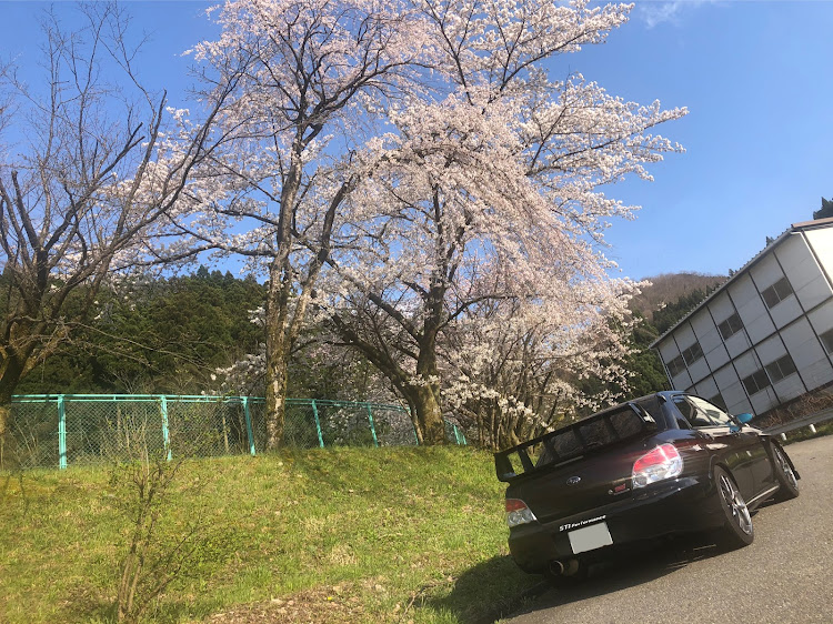 の投稿画像18枚目