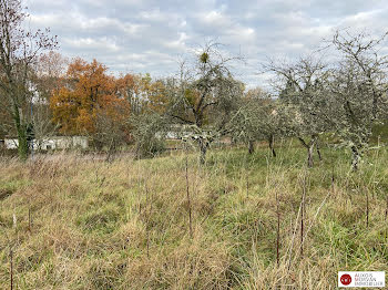 terrain à batir à Semur-en-Auxois (21)