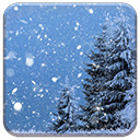 Winter Fir Tree Chrome extension download