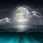 Cover Image of Download Mystic Night Live Wallpaper 5.0 APK