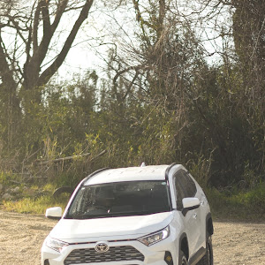 RAV4 MXAA54