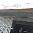 Cıtroen Peugeot Teknik Oto Özel Servis ve Otomatik Sanzıman bakım onarım Murat ve Cem usta