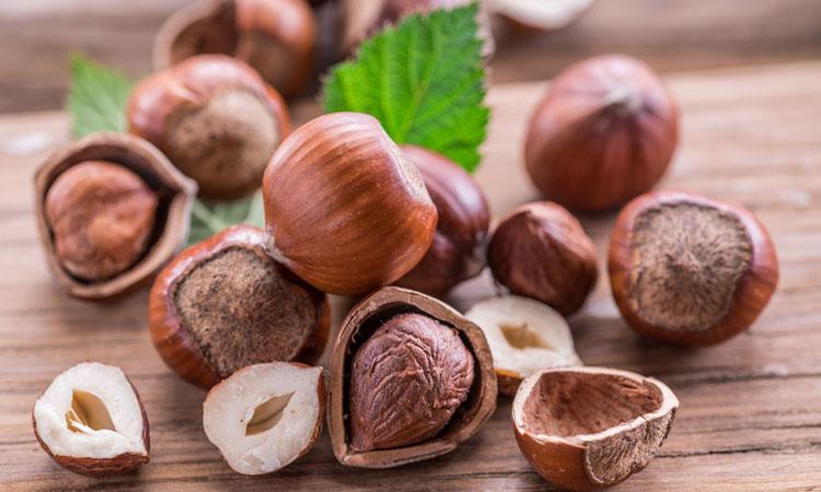 Image result for Hazelnut