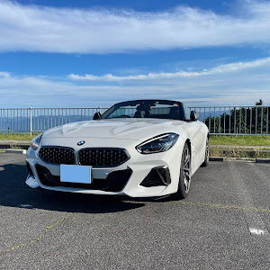 Z4