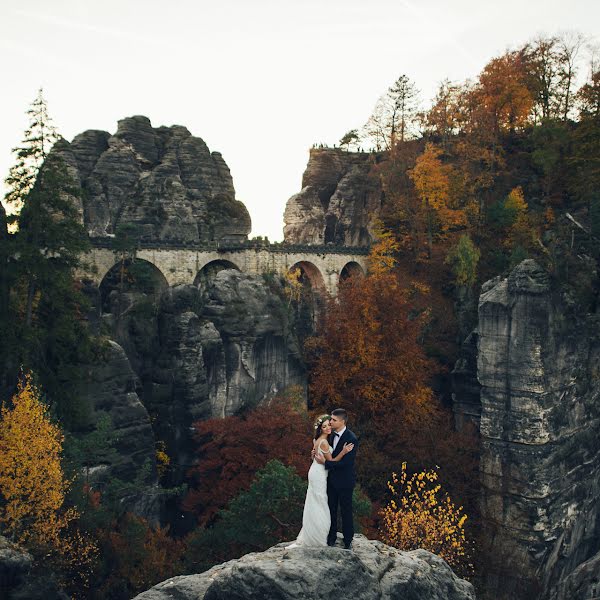 Fotógrafo de casamento Oleksandr Ladanivskiy (ladanivskyy). Foto de 15 de novembro 2015