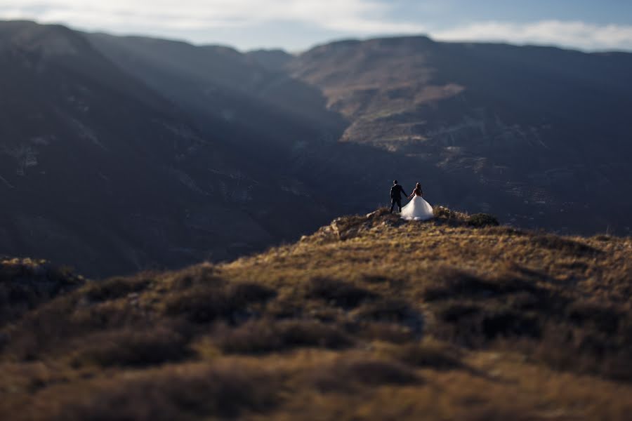 Wedding photographer Andrey Nastasenko (flamingo). Photo of 11 November 2014