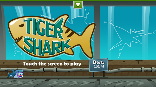 Tiger Shark