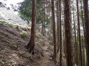 鉄塔下の巡視路に出る