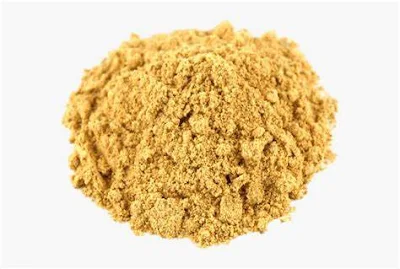 Ginger Powder - 40 gm