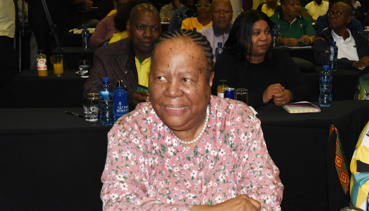 International relations and co-operation minister Naledi Pandor. File picture: Freddy Mavunda.