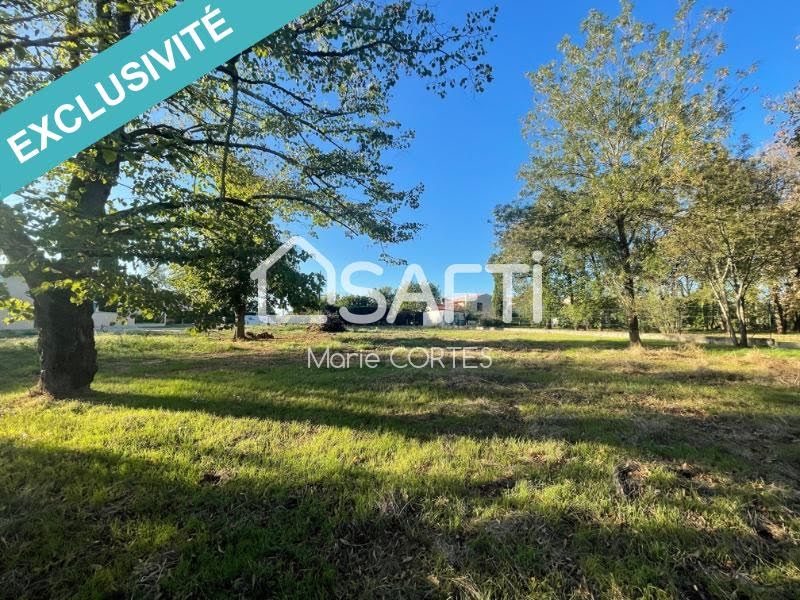 Vente terrain  5342 m² à Albi (81000), 381 000 €