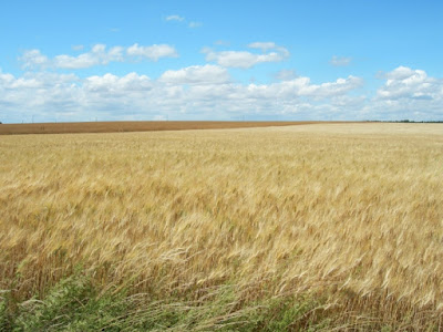 Minimal landscape di cordina