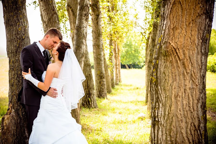 Fotografo di matrimoni Gabriella Hidvégi (gabriellahidveg). Foto del 8 luglio 2014