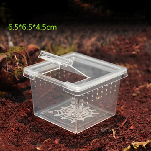Plastic Reptiles Breeding Box Transparent Reptile Terrarium Habitat for Scorpion Spider Ants Lizard Breeding Feeding Cas