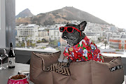 Franky in his studio apartment suite at Radisson RED.