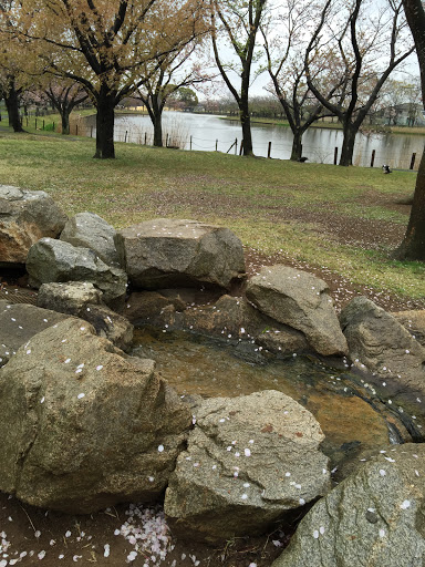 乙戸沼公園の湧き水