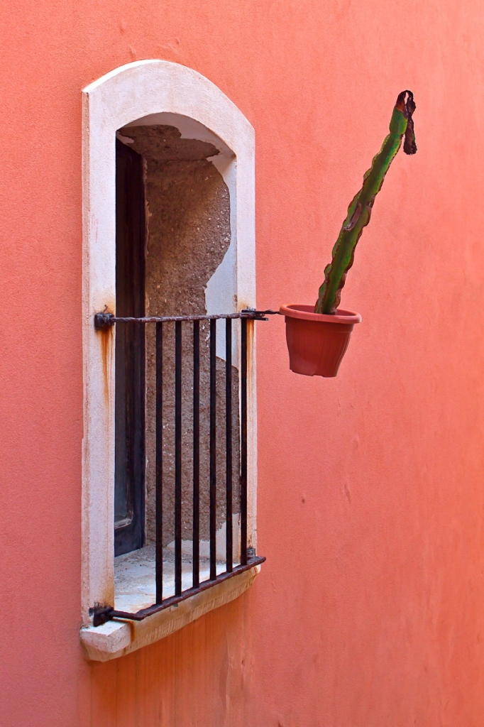 Cactus Solitario di pinodg